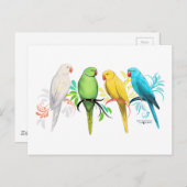 インディアンリングネックパロット ポストカード (正面/裏面)