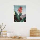 インディアンリード、アンティークプリントby Robert John Thornton ポスター (キッチン)