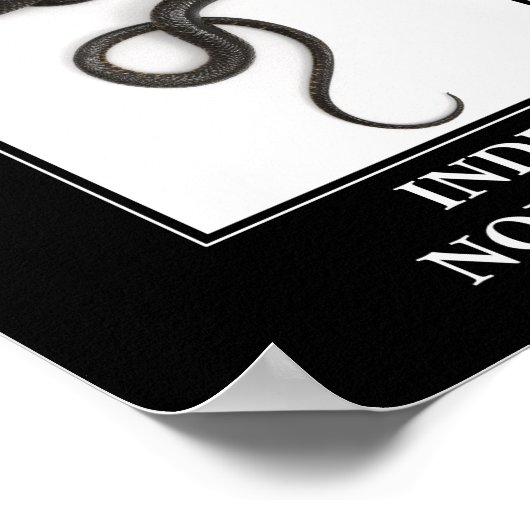 インディアンロープ – コブラスネーク危険 ポスター (角)