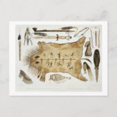 インディアン器具と腕、プレート21巻から2 ポストカード (正面)