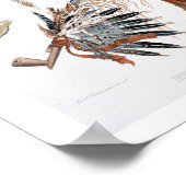 インディアン器具と腕、プレート48巻2から ポスター (角)