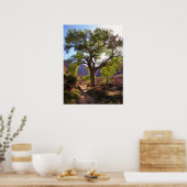 インディアン園 ポスター (キッチン)