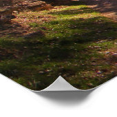 インディアン園 ポスター (角)