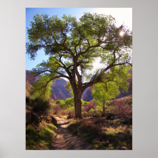 インディアン園 ポスター