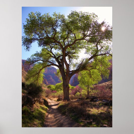 インディアン園 ポスター (正面)