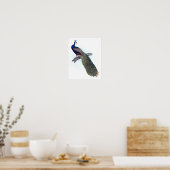 インディアン孔雀 ポスター (キッチン)