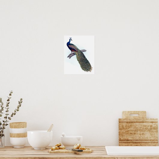 インディアン孔雀 ポスター (キッチン)
