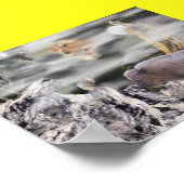 インディアン月 ポスター (角)