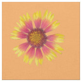 インディアン毛布デザイン布 ファブリック (クローズアップ)