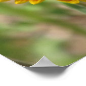 インディアン毛布 ポスター (角)