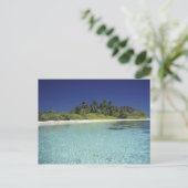 インディアン海、モルディブ諸島。（氏） ポストカード (スタンド正面)