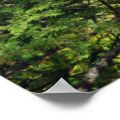 インディアン湖のアディロンダックスプリント08 103 ポスター (角)