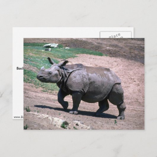 インディアン素晴らし1角サイ ポストカード (正面/裏面)