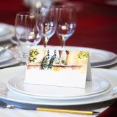 インディアン結婚ズピーコックジャイプールパレス披露宴 プレイスカード