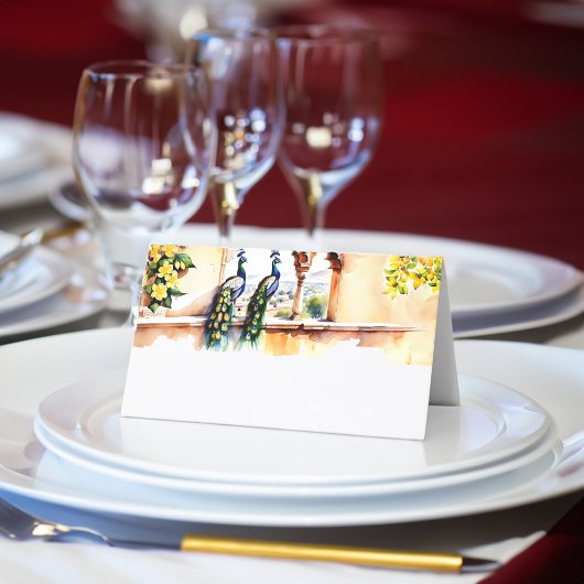 インディアン結婚ズピーコックジャイプールパレス披露宴 プレイスカード