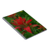 インディアン絵を描ブラシ ノートブック (右側)