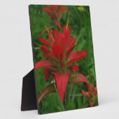 インディアン絵を描ブラシ フォトプラーク (側面)