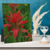 インディアン絵を描ブラシ フォトプラーク (側面)