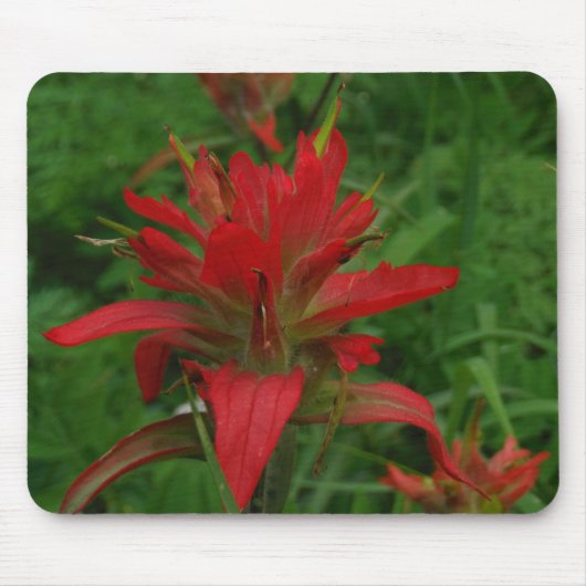 インディアン絵を描ブラシ マウスパッド (正面)