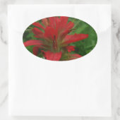 インディアン絵を描ブラシ 楕円形シール (バッグ)