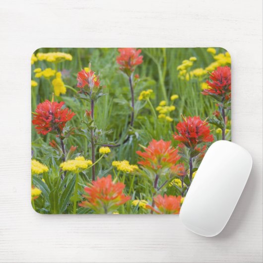 インディアン絵筆とビスキットルートの野生の花 マウスパッド (マウス)