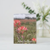 インディアン絵筆はがき ポストカード (スタンド正面)