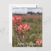 インディアン絵筆はがき ポストカード (正面/裏面)