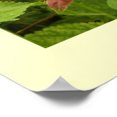 インディアン絵筆ポスター ポスター (角)