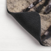 インディアン観賞用タランチュラ マウスパッド (コーナー)