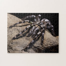 インディアン観賞用眼瞼板 ジグソーパズル