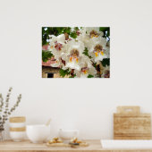 インディアン豆の花ポスター ポスター (キッチン)