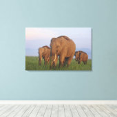インディアン象の草原 キャンバスプリント (インサイチュ (ウッドフロア))