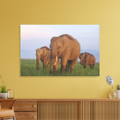 インディアン象の草原 キャンバスプリント (インサイチュ (リビング))