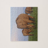 インディアン象の草原 ジグソーパズル (縦)