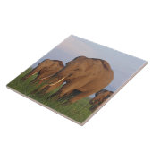 インディアン象の草原 タイル (側面)