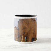 インディアン象の草原 ツートーンマグカップ (中央)