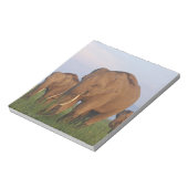 インディアン象の草原 ノートパッド (回転)