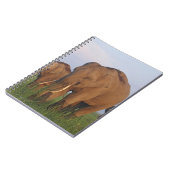 インディアン象の草原 ノートブック (左側)