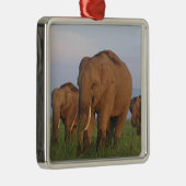 インディアン象の草原 メタルオーナメント (右)
