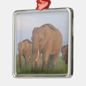 インディアン象の草原 メタルオーナメント (左)