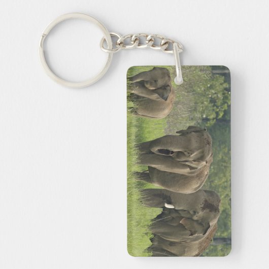 インディアン象ファミリー キーホルダー (正面)