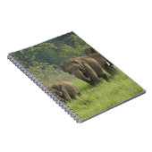 インディアン象ファミリー ノートブック (右側)