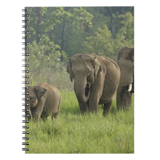 インディアン象ファミリー ノートブック (正面)