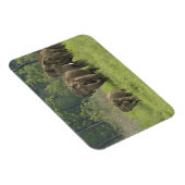 インディアン象ファミリー マグネット (右側)