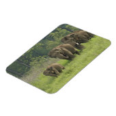 インディアン象ファミリー マグネット (左側)