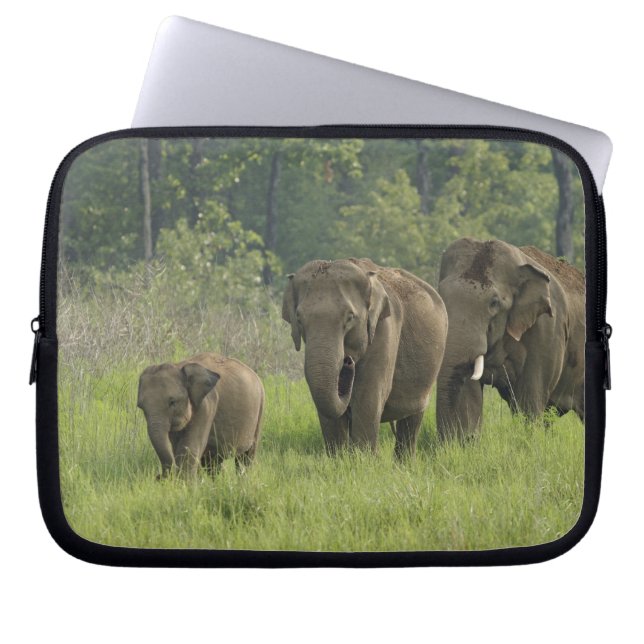 インディアン象ファミリー ラップトップスリーブ (正面)