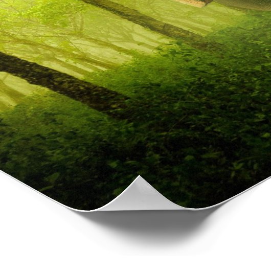 インディアン象素晴らし大型哺乳類の緑の森 ポスター (角)