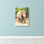 インディアン象 キャンバスプリント (インサイチュ (ウッドフロア))