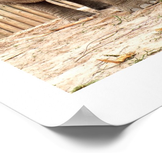 インディアン象 ポスター (角)