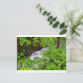 インディアン走滝、ダブリン、オハイオ ポストカード (スタンド正面)